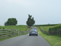 Antietam National Battlefield Photo