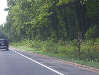 Baltimore-Washington Parkway Photo
