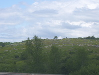 US 1 Photo