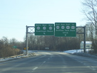 NY 365 Photo