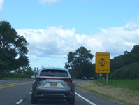 NY 370 Photo