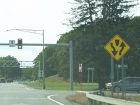 NY 50 Photo