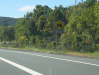 NY 5S Photo